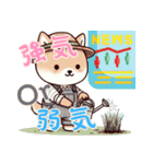 柴犬ベビーの株探検記 (にほんご) Ver6（個別スタンプ：3）