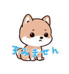 柴犬ベビーの株探検記 (にほんご) Ver6（個別スタンプ：31）
