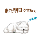 もふもふ敬語サモエドさん（個別スタンプ：4）