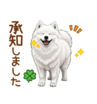 もふもふ敬語サモエドさん（個別スタンプ：8）