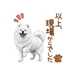 もふもふ敬語サモエドさん（個別スタンプ：9）