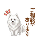 もふもふ敬語サモエドさん（個別スタンプ：10）