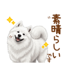 もふもふ敬語サモエドさん（個別スタンプ：13）