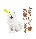 もふもふ敬語サモエドさん（個別スタンプ：15）