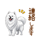 もふもふ敬語サモエドさん（個別スタンプ：17）