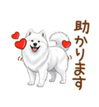 もふもふ敬語サモエドさん（個別スタンプ：19）