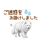 もふもふ敬語サモエドさん（個別スタンプ：20）