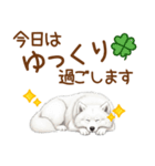 もふもふ敬語サモエドさん（個別スタンプ：21）