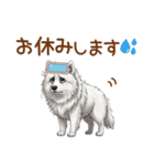 もふもふ敬語サモエドさん（個別スタンプ：22）