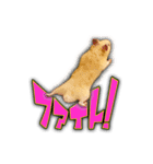 HamPacino（ハムパチーノ） 4（個別スタンプ：9）