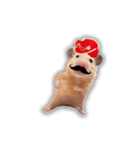 HamPacino（ハムパチーノ） 4（個別スタンプ：13）