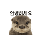 動物系です（個別スタンプ：1）