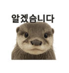 動物系です（個別スタンプ：4）
