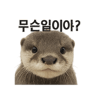 動物系です（個別スタンプ：5）