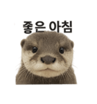 動物系です（個別スタンプ：6）