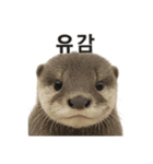 動物系です（個別スタンプ：7）