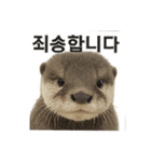 動物系です（個別スタンプ：8）