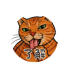 ChatoranoNekodono（個別スタンプ：4）