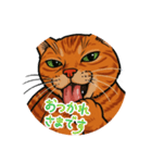 ChatoranoNekodono（個別スタンプ：5）