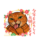 ChatoranoNekodono（個別スタンプ：21）