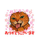 ChatoranoNekodono（個別スタンプ：35）