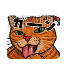 ChatoranoNekodono（個別スタンプ：37）