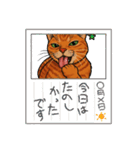 ChatoranoNekodono（個別スタンプ：38）
