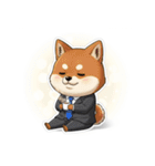 ビジネス柴犬シュウイチ第4弾スタンプ（個別スタンプ：13）