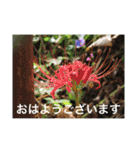 生き物写真で「おはようございます」2（個別スタンプ：6）