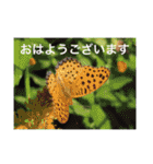 生き物写真で「おはようございます」2（個別スタンプ：17）