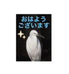 生き物写真で「おはようございます」2（個別スタンプ：18）