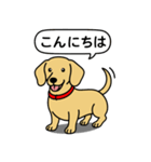ミニチュアダックス(スムース＋イエロー)（個別スタンプ：1）