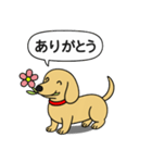ミニチュアダックス(スムース＋イエロー)（個別スタンプ：2）