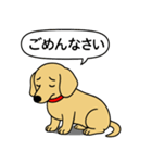ミニチュアダックス(スムース＋イエロー)（個別スタンプ：3）