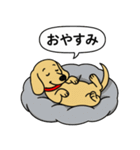 ミニチュアダックス(スムース＋イエロー)（個別スタンプ：5）