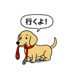 ミニチュアダックス(スムース＋イエロー)（個別スタンプ：7）