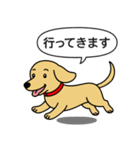 ミニチュアダックス(スムース＋イエロー)（個別スタンプ：9）