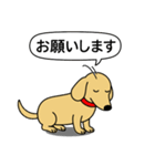 ミニチュアダックス(スムース＋イエロー)（個別スタンプ：11）