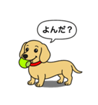 ミニチュアダックス(スムース＋イエロー)（個別スタンプ：12）