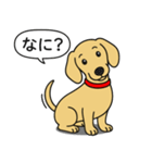 ミニチュアダックス(スムース＋イエロー)（個別スタンプ：13）