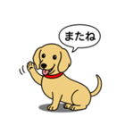 ミニチュアダックス(スムース＋イエロー)（個別スタンプ：14）