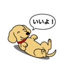 ミニチュアダックス(スムース＋イエロー)（個別スタンプ：17）