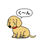 ミニチュアダックス(スムース＋イエロー)（個別スタンプ：19）