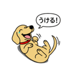 ミニチュアダックス(スムース＋イエロー)（個別スタンプ：23）