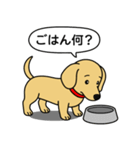 ミニチュアダックス(スムース＋イエロー)（個別スタンプ：24）
