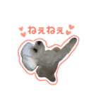 さくらにくらくら（個別スタンプ：3）