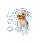 さくらにくらくら（個別スタンプ：15）