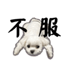 さくらにくらくら（個別スタンプ：18）