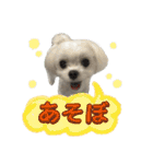 さくらにくらくら（個別スタンプ：20）
