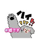 ふわふわわんこの日常スタンプ（個別スタンプ：16）